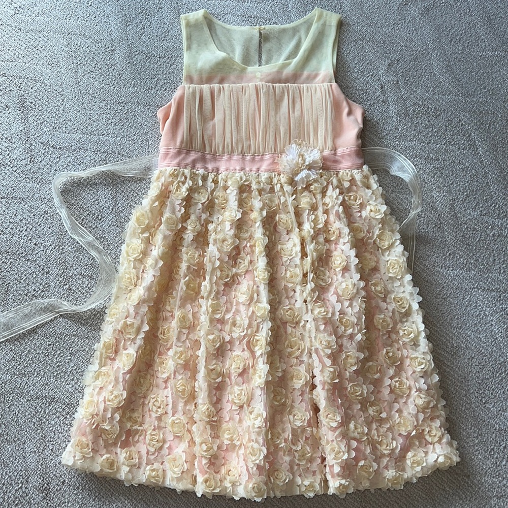 Iris & Ivy dress